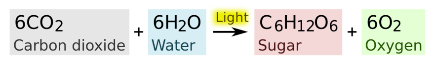 1280px-Photosynthesis_equation.svg.png